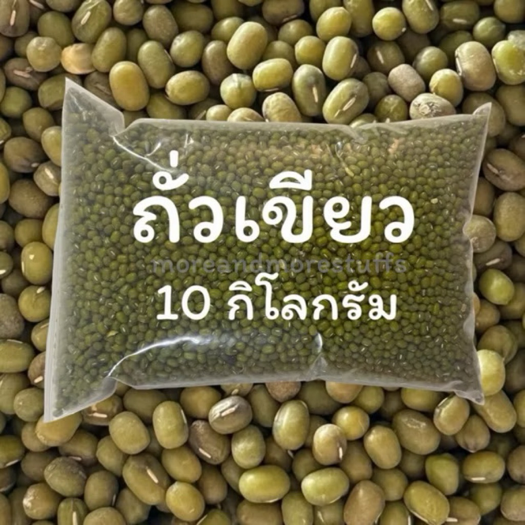 ถั่วเขียว (10 กิโลกรัม) ถั่วเขียวเพาะถั่วงอก ถั่วเพาะงอก