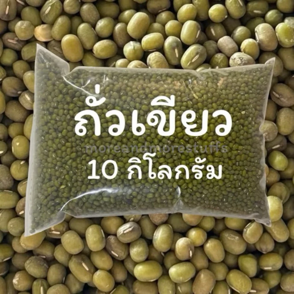 ถั่วเขียว (10 กิโลกรัม) ถั่วเขียวเพาะถั่วงอก ถั่วเพาะงอก