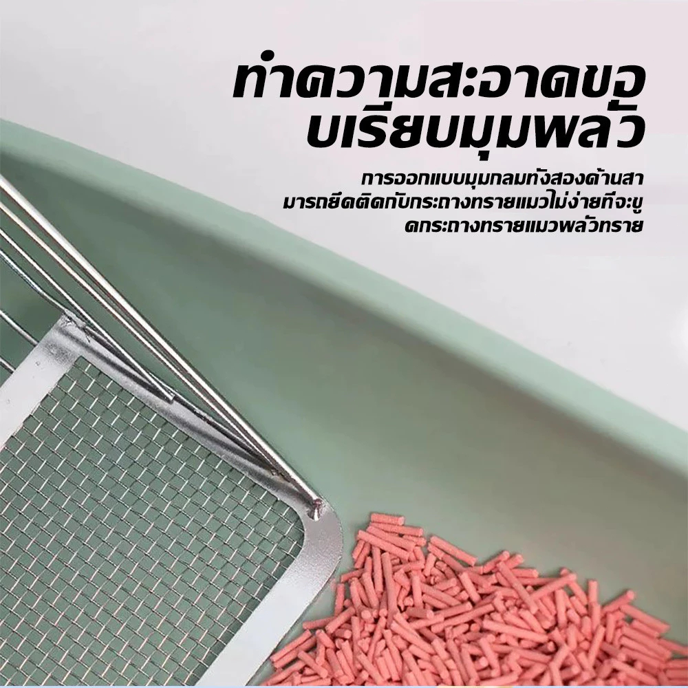 รูปภาพ 4