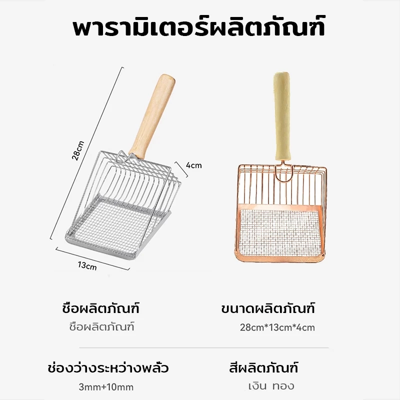 รูปภาพ 9