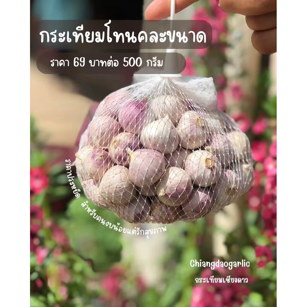 กระเทียมโทนคละขนาด 500 กรัม