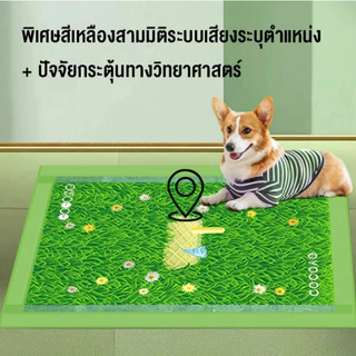 Petcho (Cocoyo) แผ่นรองฉี่สุนัข ขนาดใหญ่พิเศษ แผ่นรองฉี่หญ้า ที่หมาชอบ กระตุ้นการขับถ่ายปัสสาวะ รูดูดซับแบบจุด