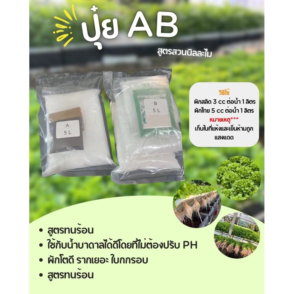 ปุ๋ยAB 10ลิตร ใช้กับผักไทยและผักสลัด(พร้อมคู่มืการผสมและวิธีใช้ฟรี)