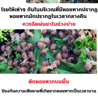 ขายดี‼️ ยาฆ่าหอย ยาฆ่าหอยทาก ยาเบื่อหอย สารกำจัดหอย ไม่มีพิษต่อพืชผักสวนครัว bนำเข้า