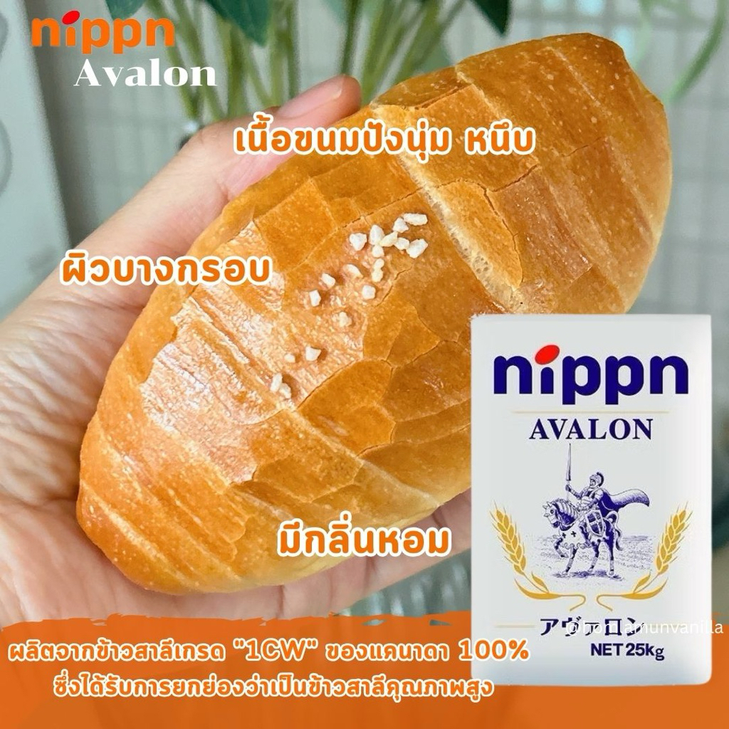 แป้งขนมปังญี่ปุ่น Nippn Avalon แป้งนิปปุ่น แบ่งบรรจุ 1 kg