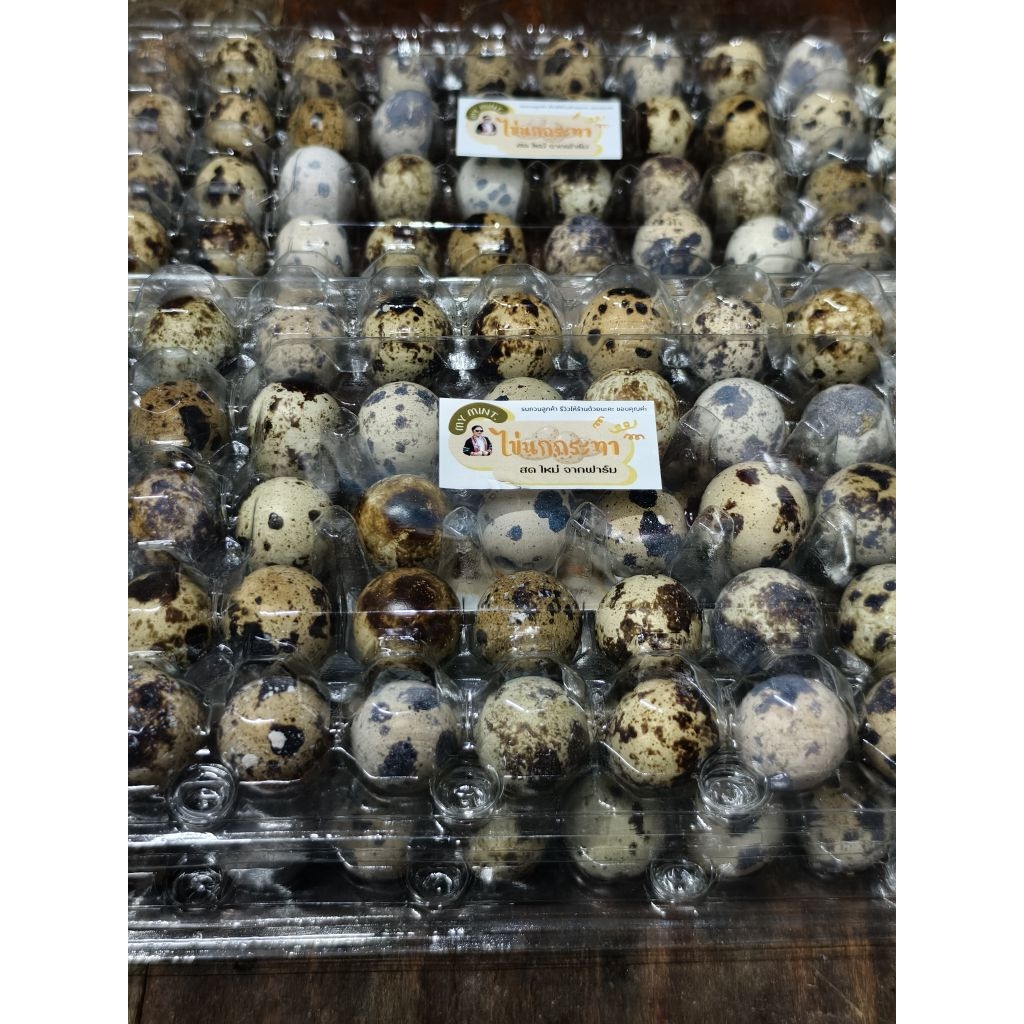 ไข่นกกระทาสด ไข่นกกระทา 200ใบ