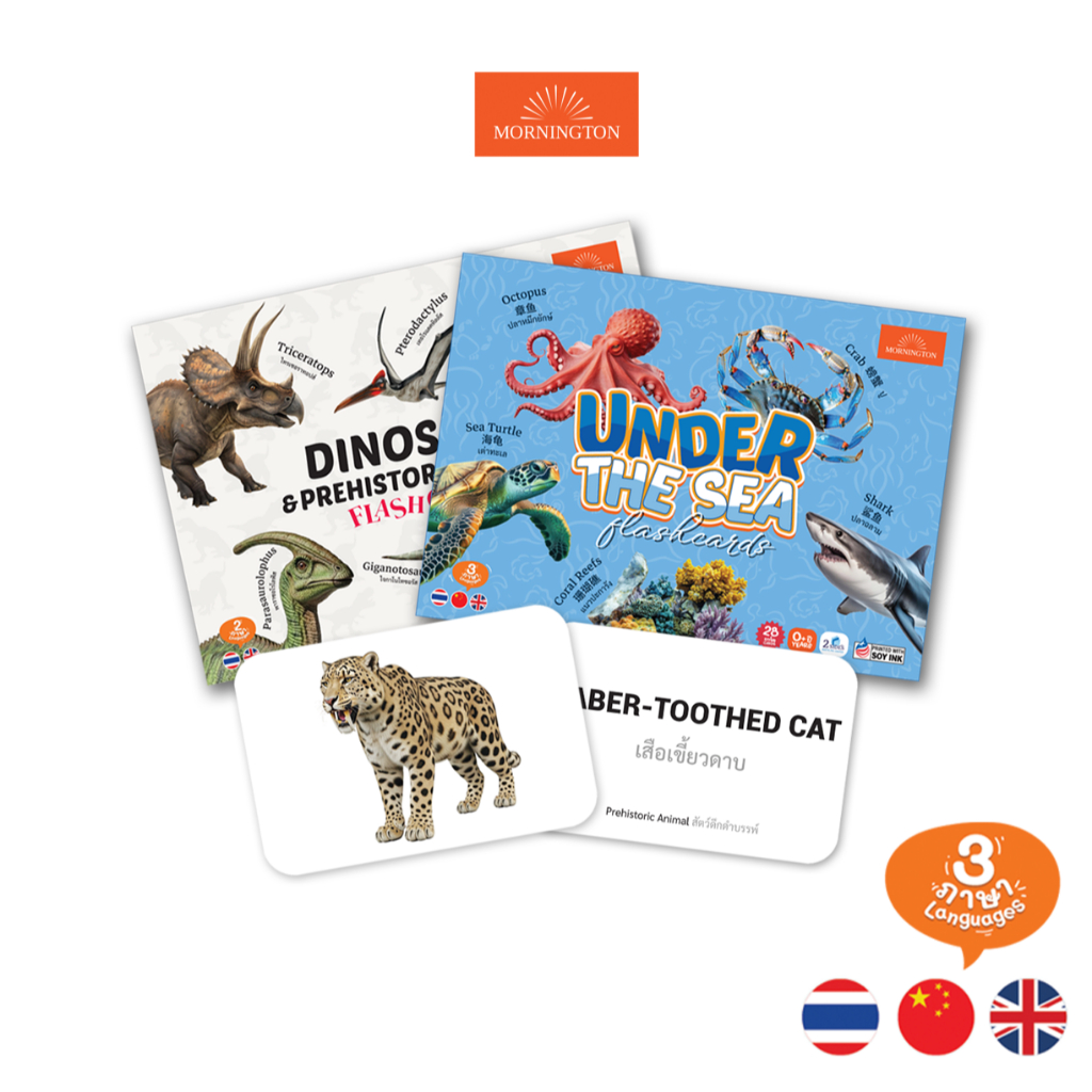 Mornington Flashcard ชุดการ์ดคำศัพท์ ขนาด A5 แฟลชการ์ด 3 ภาษา เสริมพัฒนาการเด็ก / กล่อง