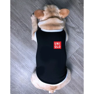🇹🇭พร้อมส่ง🇹🇭 เสื้อหมา เสื้อแมว สกรีนลาย แบรนด์สุดฮิต🌟 เนื้อผ้าคอตตอนแท้ 100%