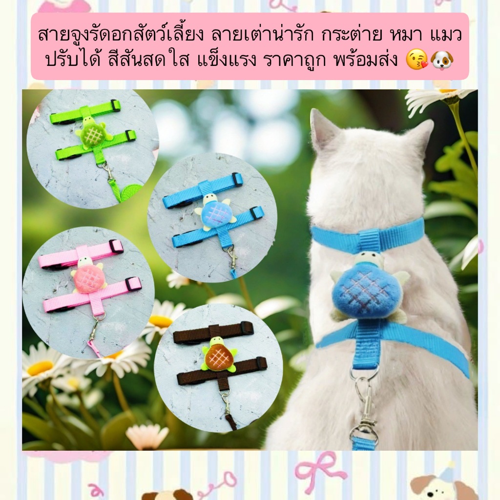 AL-1254 สายจูงรัดอกสัตว์เลี้ยง ลายเต่าน่ารัก กระต่าย หมา แมว ปรับได้ สีสันสดใส แข็งแรง ราคาถูก พร้อมส่ง 😘🐶