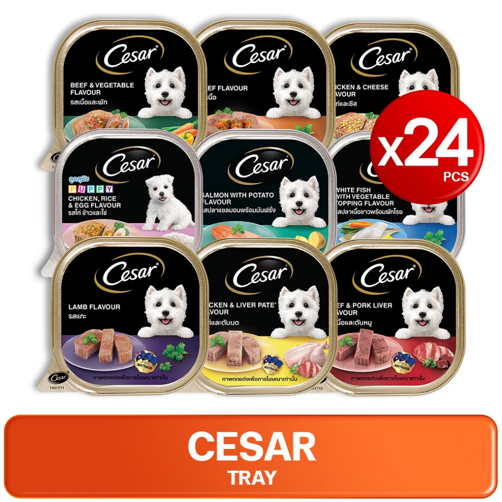 24PCS CESAR Tray Dog Food ซีซาร์ อาหารเปียกสุนัข ชนิดถาด 100g.