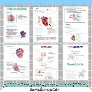 หนังสือ EKG สำหรับพยาบาล