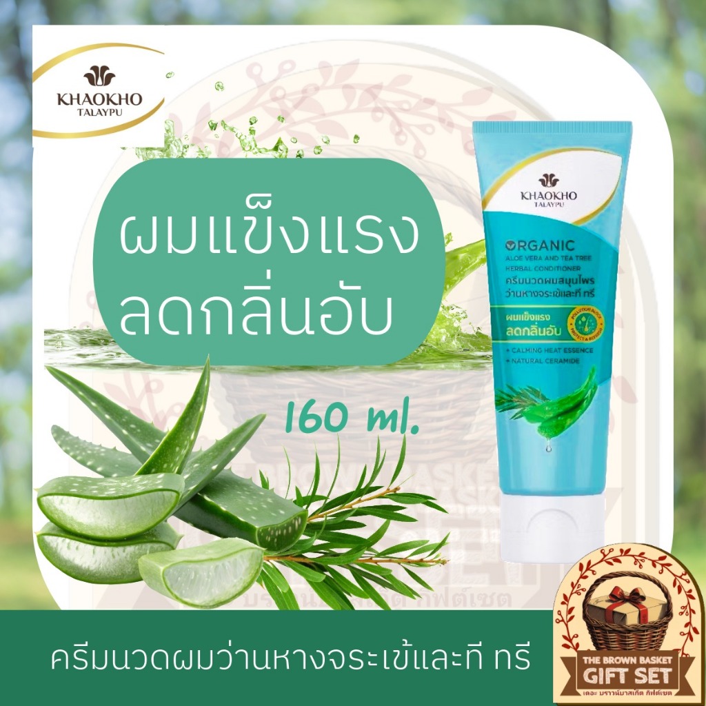Khaokho Talaypu เขาค้อทะเลภู ครีมนวดผม สูตรว่านหางจระเข้และที ทรี ช่วยลดกลิ่บอับ