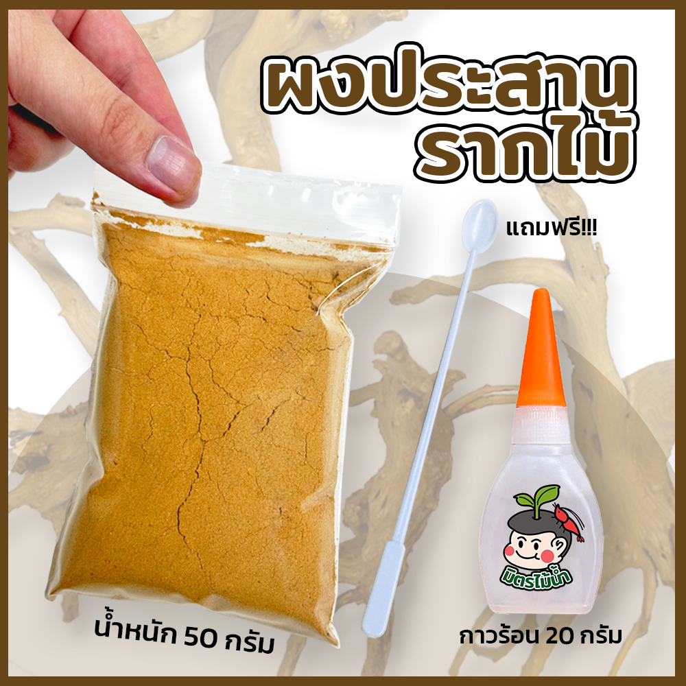 ผงประสานรากไม้ 50 กรัม ต่อlayoutตู้ไม้น้ำ พร้อมกาวร้อน แถมฟรีช้อนตัก