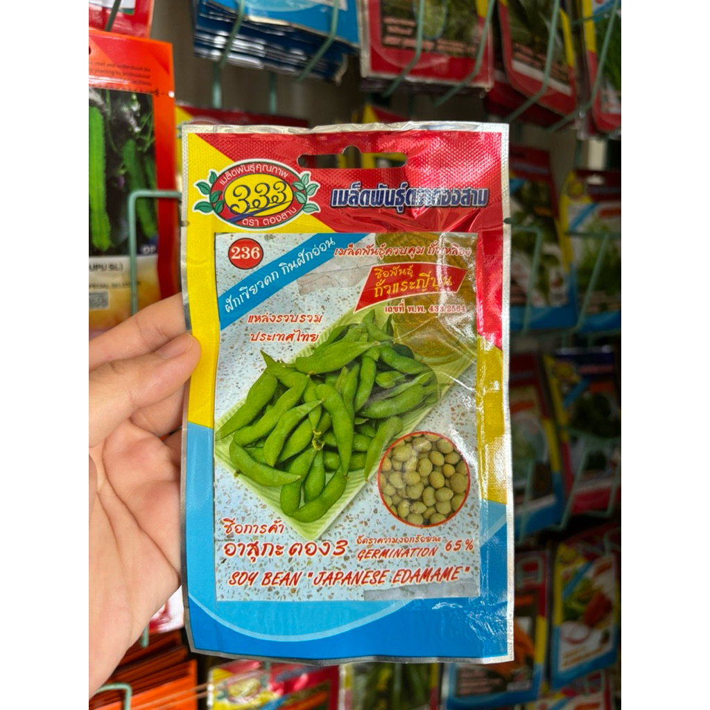 ถั่วแระญี่ปุ่น ฝักเขียวดก กินฝักอ่อน อาสุกะตอง3 นน.5กรัม/ซอง – โปรปัง