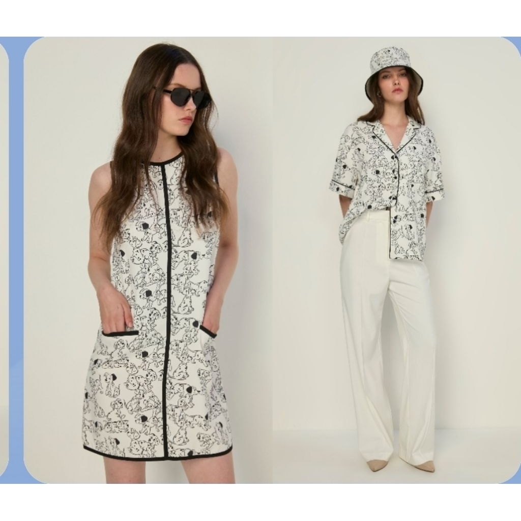 ROYAL IVY REGATTA Disney ของแท้  Puppy Dalmatian Dalmatian 101 ทรามวัยกับไอ้ด่าง101 ไอ้จุดมหาสนุก si