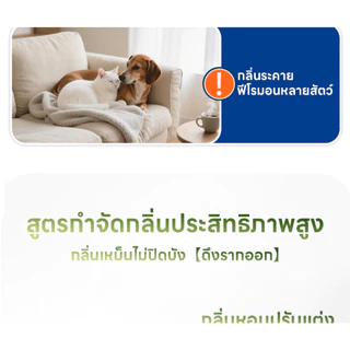 Ketzuzu🐱 สเปรย์ดับกลิ่นฉี่แมว สเปรย์ดับกลิ่นสัตว์เลี้ยง ดับกลิ่นทรายแมว สเปรย์ดับกลิ่นสุนัข ผ่านเอนไซม์ชีวภาพสลายกลิ่น