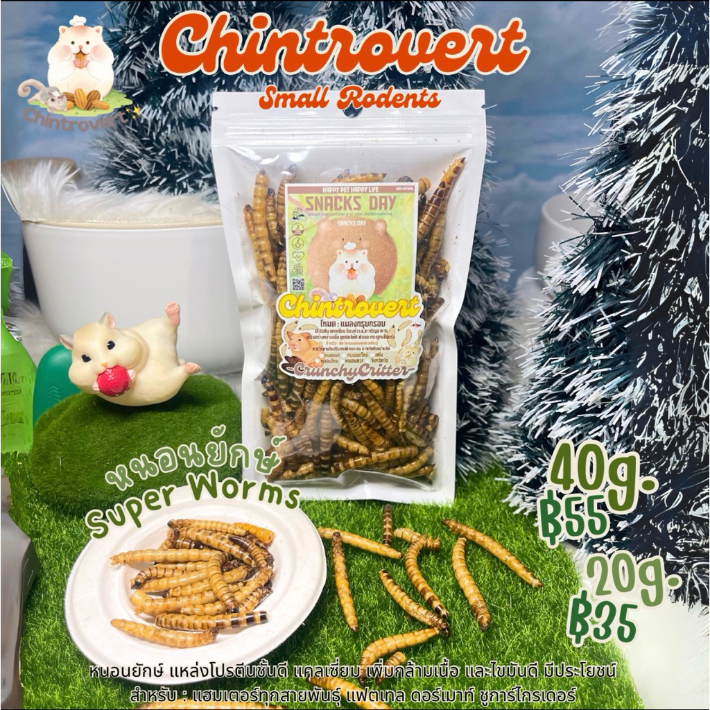 Chintrovert ✨| Giant worms หนอนยักษ์อบแห้ง 20g-40g | แฮมเตอร์ แฟตเทล ดอร์เมาท์ ชูการ์