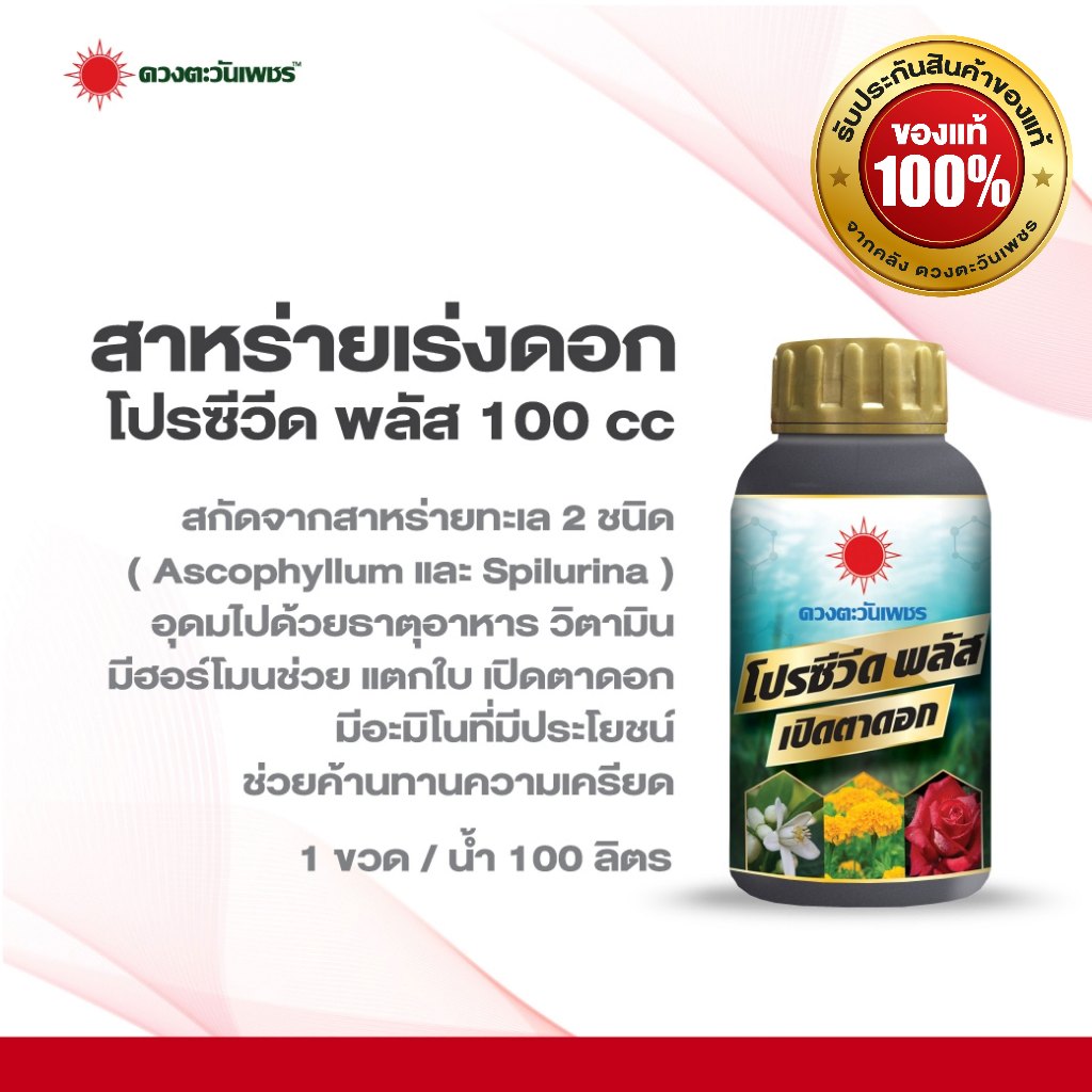 โปรซีวีด พลัส ขนาด100 ซีซี สำหรับฉีดพ่นทางใบ สาหร่ายเปิดตาดอก เร่งออกดอก