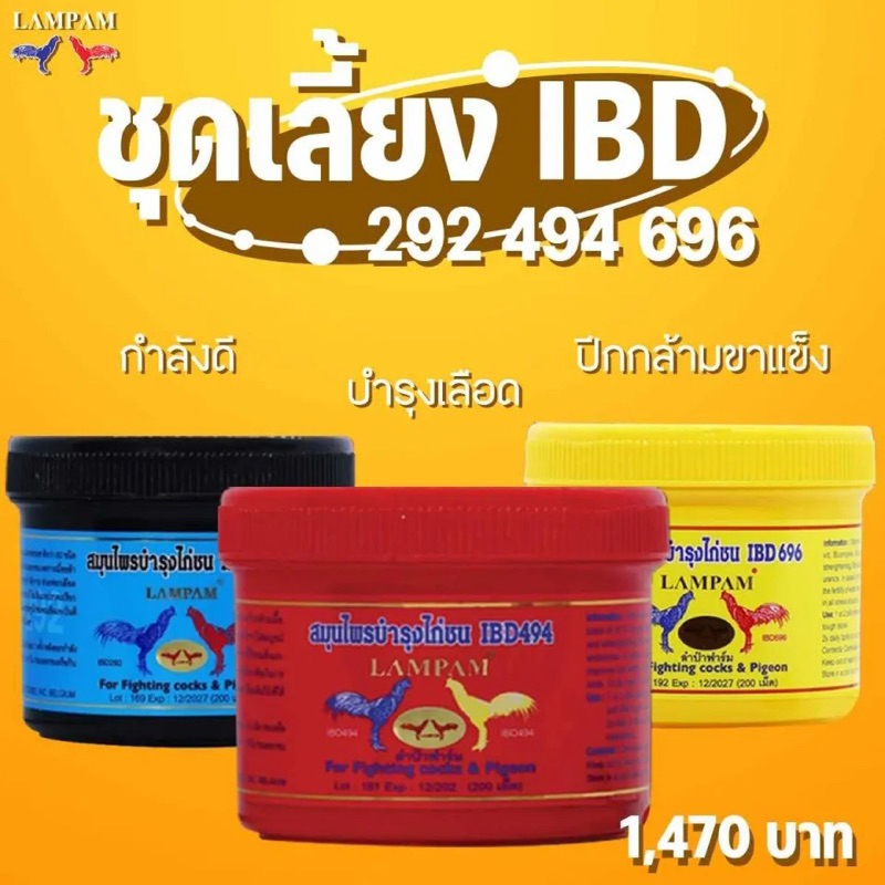 ชุดเลี้ยงไก่ไอบีดี IBD แบบกระปุก 200 เม็ด ชุดเลี้ยงไก่ลำปำ อาหารไก่ชน กำลังไก่
