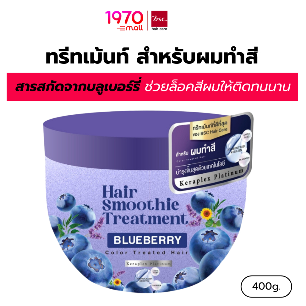 BSC HAIR CARE ทรีทเม้นท์ บำรุงผม Smoothie Blueberry 400g สำหรับผมทำสี ฟื้นผมแห้งเสีย ให้กลับมานุ่มสลวย มีชีวิตชีวา