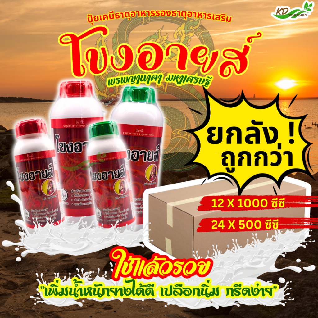 ยกลัง**โขงอายส์ ขนาด 500 ซีซี และ1000 ซีซี  ยาเร่งน้ำยาง   ยาทาหน้ายาง น้ำยางออกดี กรีดง่าย ต้นไม่โทรม ของแท้ 100%