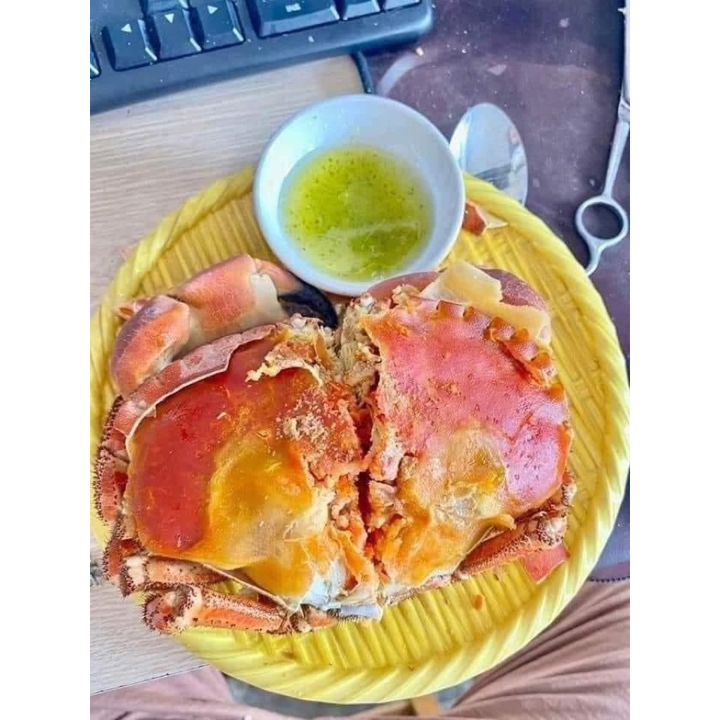 ปูขนมปังไข่แน่น เกรด A ของแทร่ ไซส์ยักษ์หาไม่ได้แล้ว รับประกันไข่ เริ่มต้น479