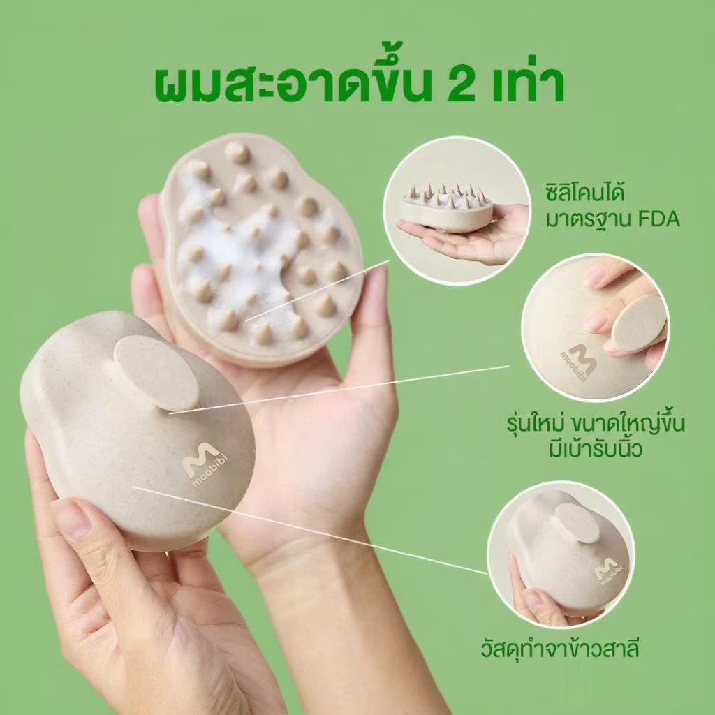 รูปภาพ 5