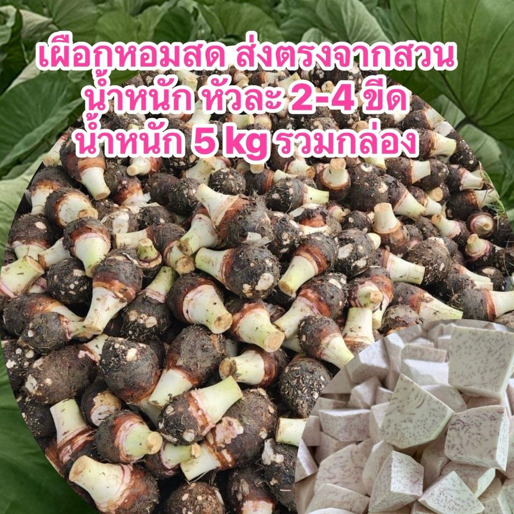 เผือกสด ขนาดหัวละ 2-4ขีด น้ำหนักรวม 3 kg สดจากสวน