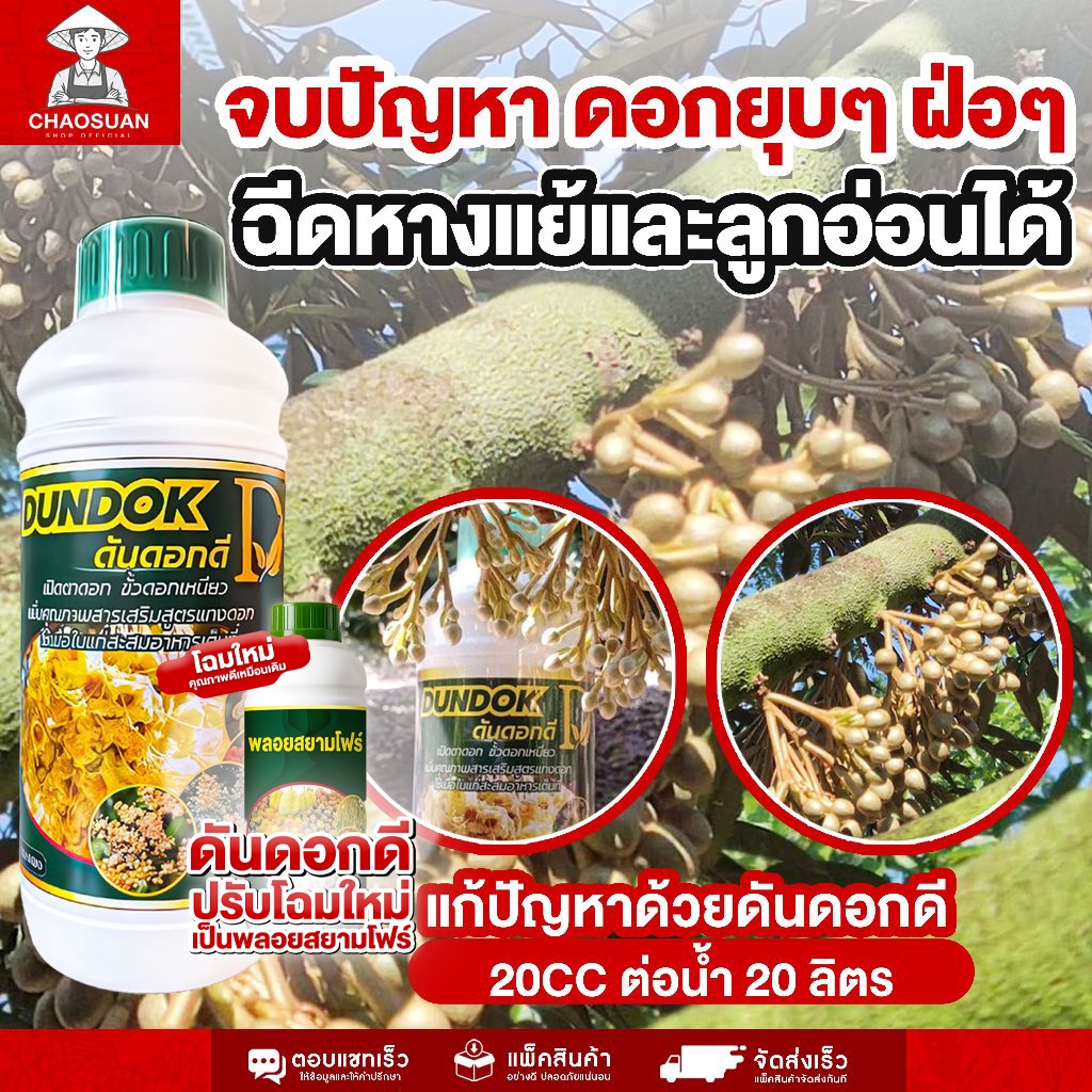 จบปัญหา ดอกยุบๆ ฝ่อๆ ฉีดหางแย้และลูกอ่อนได้ แก้ปัญหาด้วยดันดอกดี