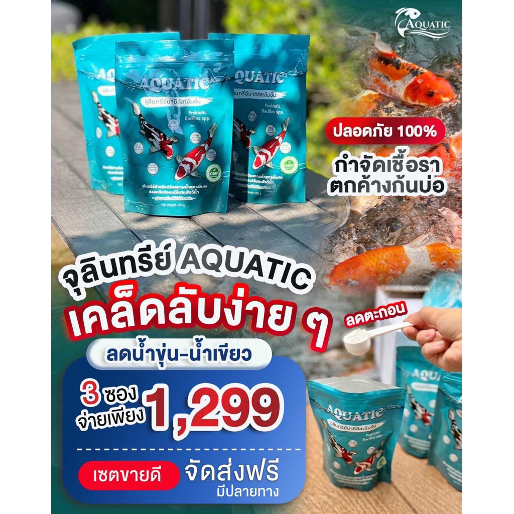 จุลินทรีย์น้ำใส Aquatic(3 ซอง) บ่อปลา/ตู้ปลา ช่วยกำจัดตะกอนย่อยสลายของเสียในน้ำลดปัญหาน้ำเขียวขุ่นใน