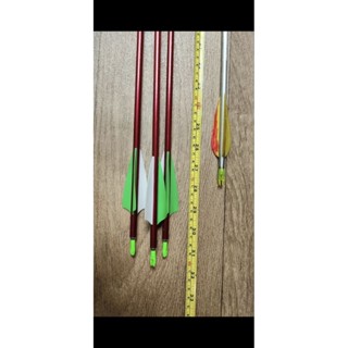 ลูกธนู..COMPOUND ความแข็ง SP 500 จำนวน 6 ลูก