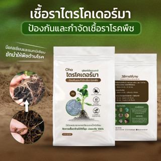 เชื้อราไตรโคเดอร์มา พด.14 ป้องกัน จัดการเชื้อราได้มากถึง 31 …