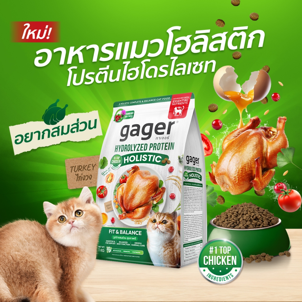 Gager อาหารแมว กาเจอร์ โฮลิสติก เสริมวิตามิน เพื่อสุขภาพ พัฒนาโดยสัตวแพทย์ สูตรไก่งวง (ขนาด 1 กิโลกรัม)