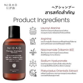นิกาโอะ เจลอาบน้ำ / แชมพู สูตรอ่อนโยน บำรุงผม ผมแห้งเสีย ขาดหลุดร่วง ลดการเกิดรังแค NIGAO Shampoo & Shower Gel