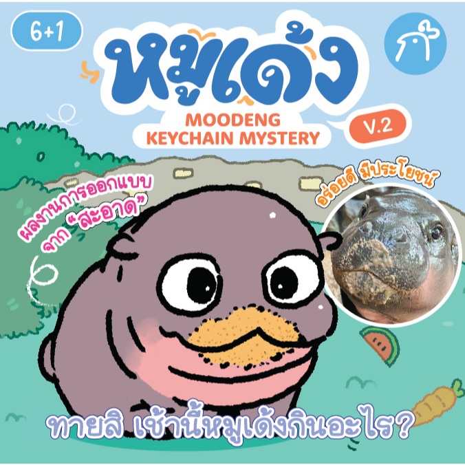 พวงกุญแจสุ่มหมูเด้ง V2 สินค้าลิขสิทธิ์ถูกต้องจากองค์การสวนสัตว์ [*ยก Box กดสินค้าให้ครบ 6 ชิ้น*]