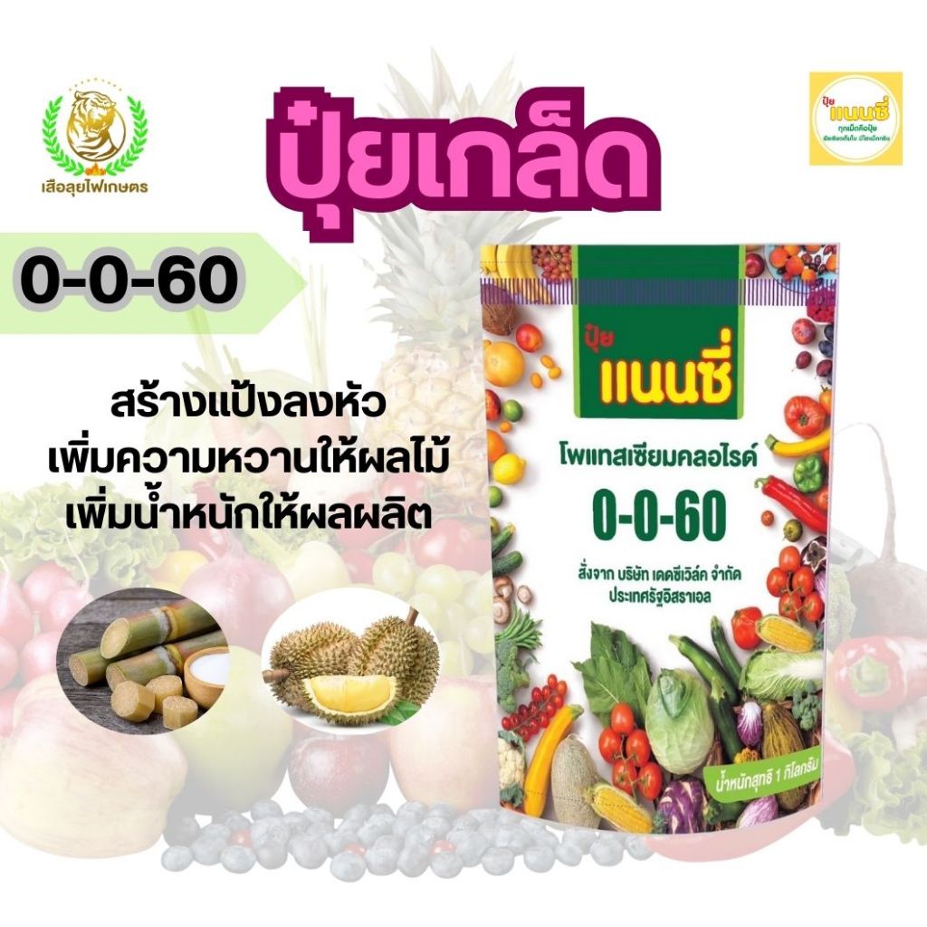 ปุ๋ยเกล็ดสูตร 0-0-60 ตราแนนซี่ เน้นการสร้างแป้ง เพิ่มน้ำหนัก เพิ่มความหวาน ขยายผล ขนาด 1 กิโลกรัม