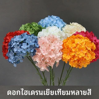 🌸ดอกไฮเดรนเยีย คุณภาพดี ช่อยาว80cm ดอกไม้ประดิษฐ์ จากผ้าไหมดิบ สวยงามเสมือนจริง (🚚พร้อมส่งในไทย ถึงเร็วทันใจ🚚)