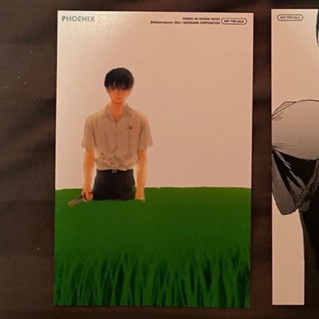 โปสการ์ดโยชิกิ Yoshiki หน้าร้อนที่ฮิคารุจากไป ของ Phoenix