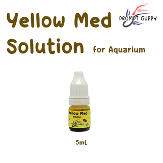 Yellow Med Solution เข้มข้น สำหรับสัตว์น้ำ ปลาสวยงาม ในขวดหยด สะดวกใช้งาน