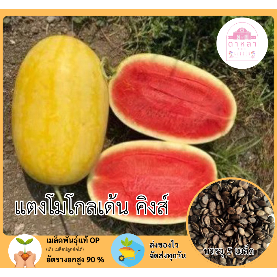 แตงโมโกลเด้นคิงส์ 5 เมล็ด