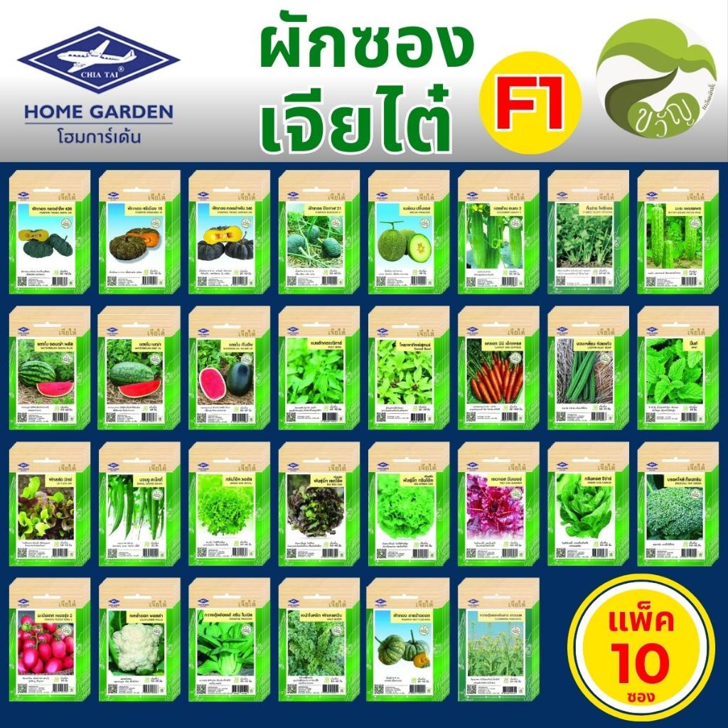เมล็ดพันธุ์ ขายส่ง ผักซองF1 (มุมเขียว) เจียไต๋ราคาถูก ยกแพค บรรจุแพ็คละ 10 ซอง สุดคุ้ม
