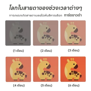 KAWA 0-36 สองด้าน Flashcards แฟลชการ์ดเด็ก การ์ดกระตุ้นพัฒนาการสายตาทารก มอนเตสซอรี่ สําหรับเด็กแรกเกิด