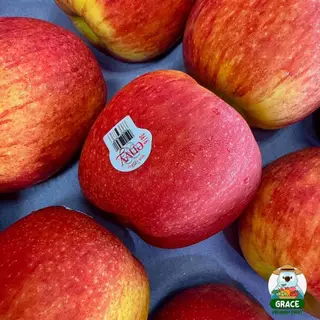 แอปเปิ้ลเอ็นวี่ Envy Apple อเมริกา ไซส์ L