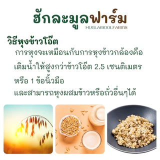 ซื้อครบ4แถม1 ข้าวโอ๊ต แบบหุง ออร์แกนิค 1กก ตราฮักละมูลฟาร์ม Organic Oat Groat ข้าวโอ็ต