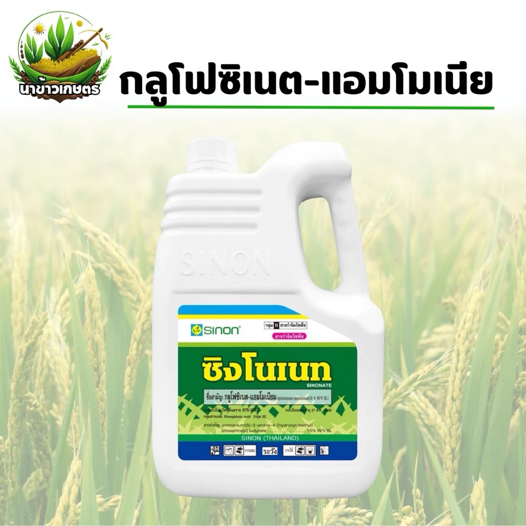 ซิงโนเนท 4ลิตร (กลูโฟซิเนต-แอมโมเนียม) สารกำจัดวัชพืชใบแคบและใบกว้าง