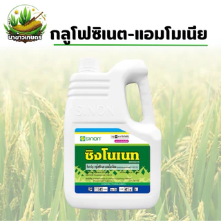 ซิงโนเนท 4ลิตร (กลูโฟซิเนต-แอมโมเนียม) สารกำจัดวัชพืชใบแคบและใบกว้าง