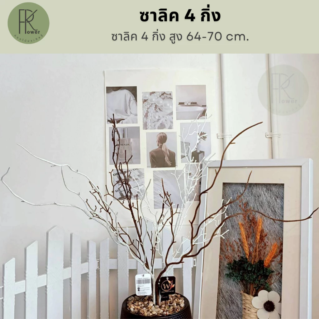 ซาลิค 4 กิ่ง ต้นสูง 64-70 cm. ต้นไม้ประดิษฐ์ พร้อมส่งจากไทย ส่งของทุกวัน