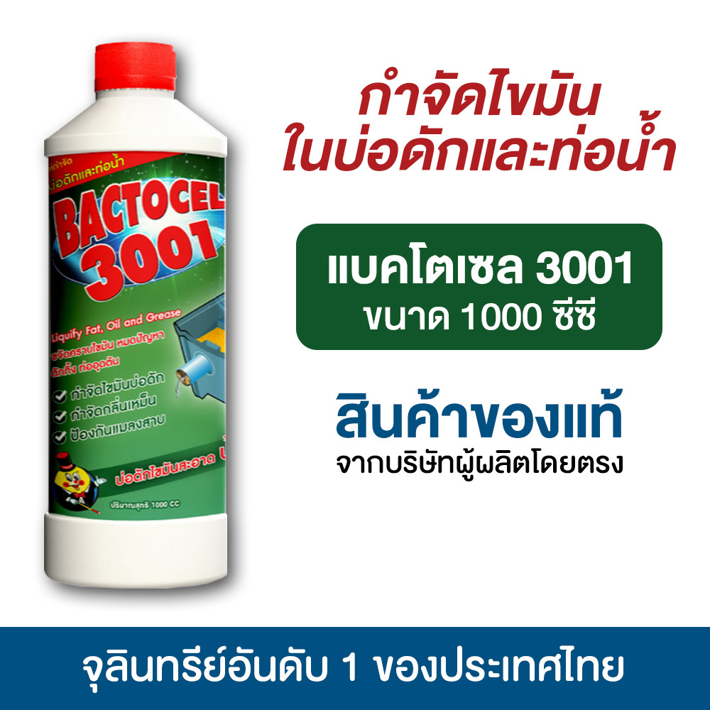 แบคโตเซล 3001 1,000 ml จุลินทรีย์ ย่อยไขมันอ่างล้างจาน ดับกลิ่นเหม็นถังดักไขมัน บ่อดักไขมัน ท่อตัน