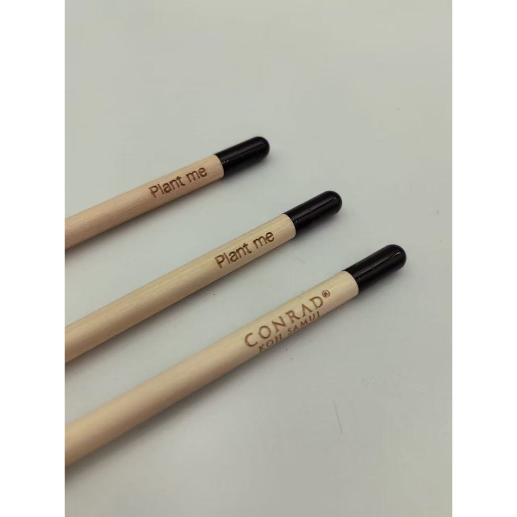 ดินสอรักษ์โลก ปลูกได้ เลือกเมล็ดได้ plantable pencils