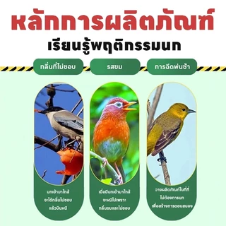 🦜ไม่มีนกภายในรัศมี 1000 เมตรครับ🦜SKy ยากำจัดนกพิราบ ไล่นก ก้อนไล่นกพิราบ ก้อนไล่นกพิราป ไล่นกพิราบถาวร ก้อนไฟป่าไล่นก